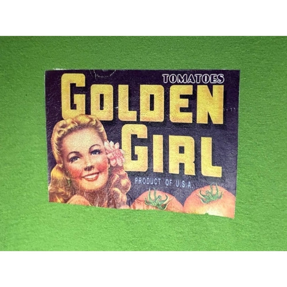 Vintage Y2k Golden Girl Tomatoes Product of USA Graphic Green T-Shirt Mens XL‎
